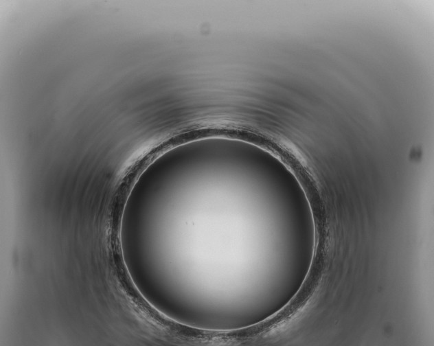 X0000090780922200707271546