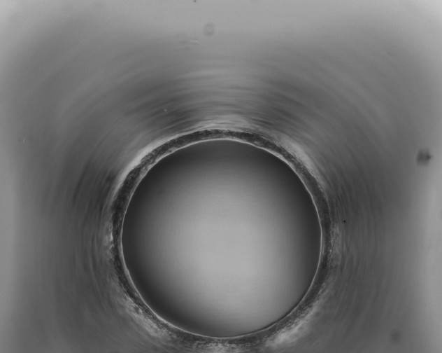 X0000090780923200707271546