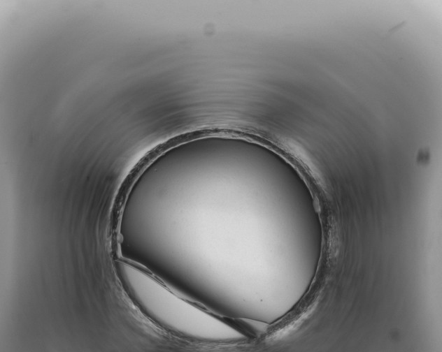 X0000090780924200707271546