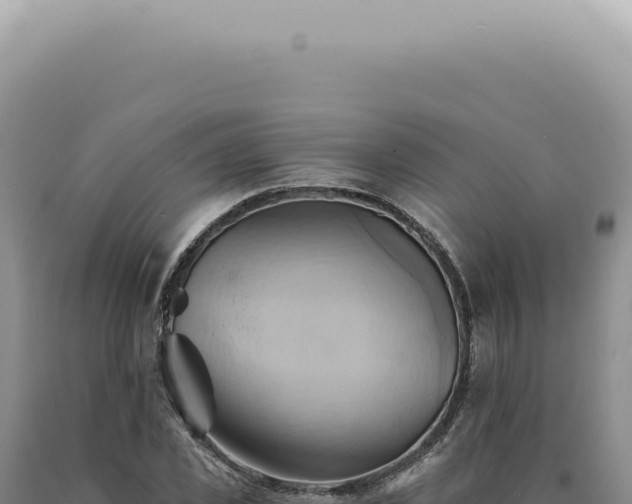 X0000090780925200707271546