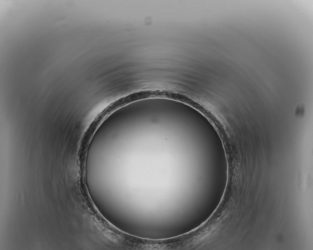 X0000090780927200707271546