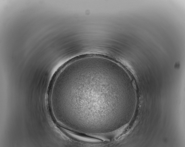 X0000090780928200707271546