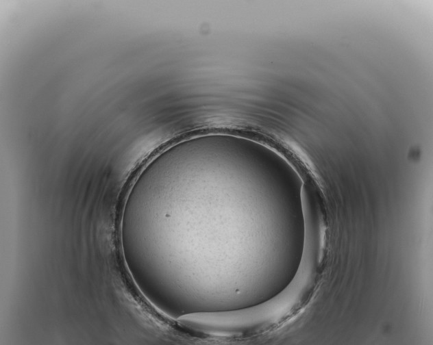 X0000090780930200707271546