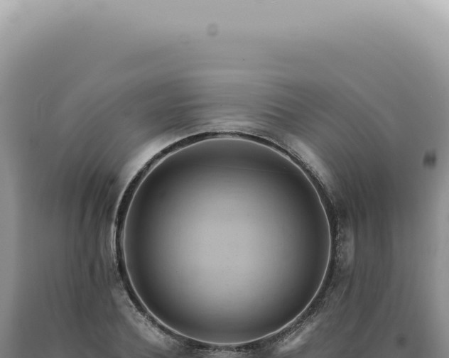X0000090780932200707271546