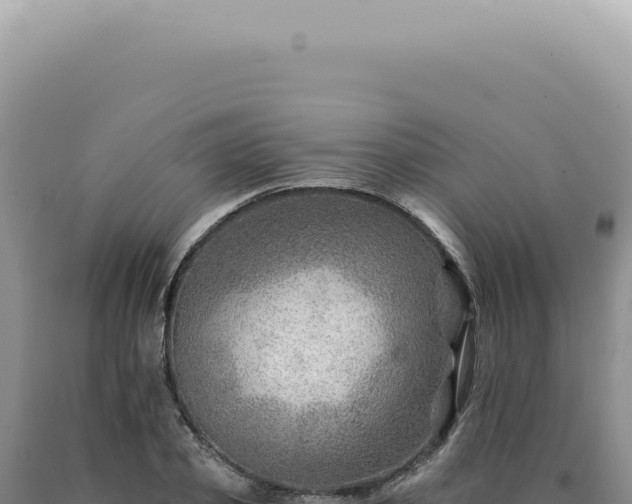 X0000090780933200707271546