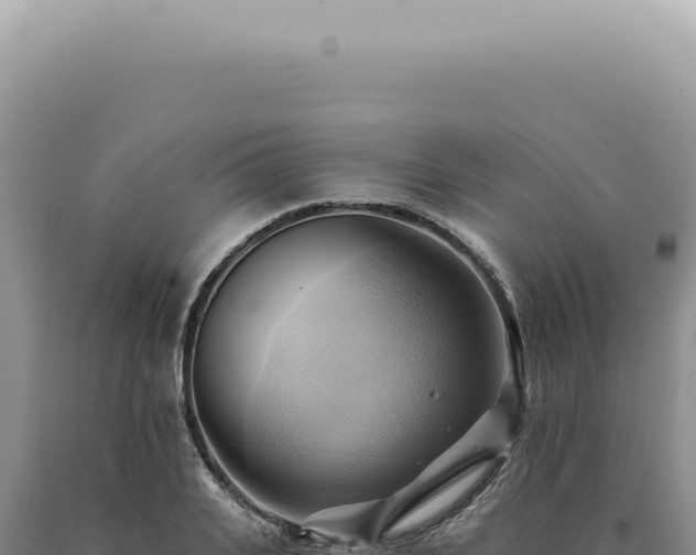 X0000090780935200707271546