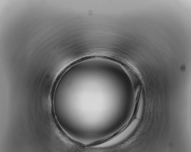X0000090780936200707271546