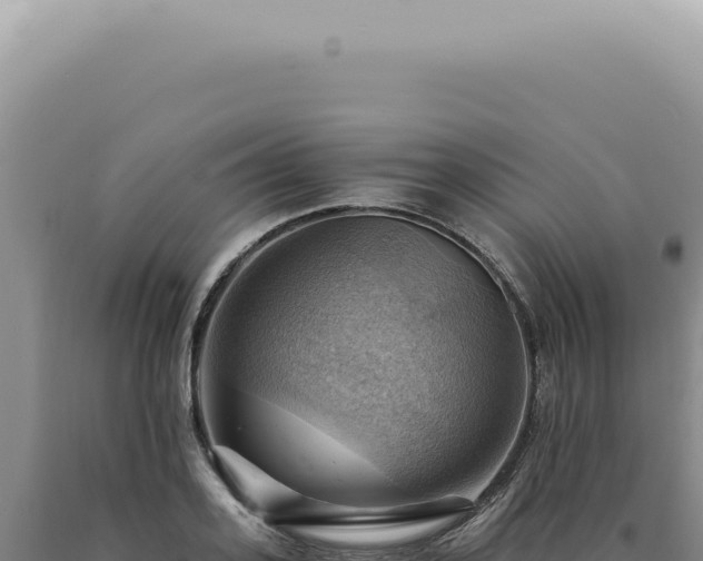 X0000090780939200707271546