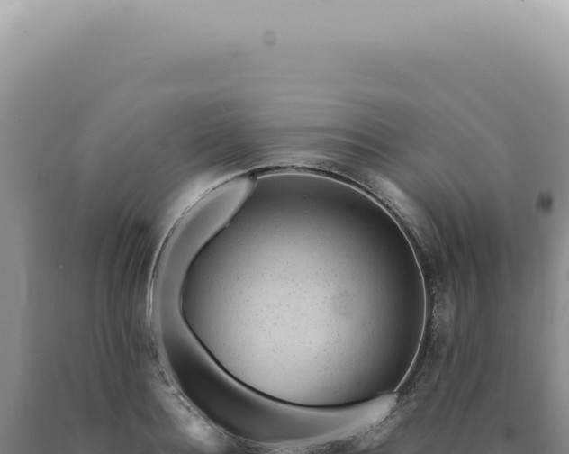 X0000090780940200707271546