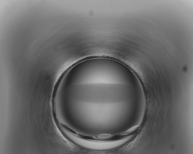 X0000090780943200707271546