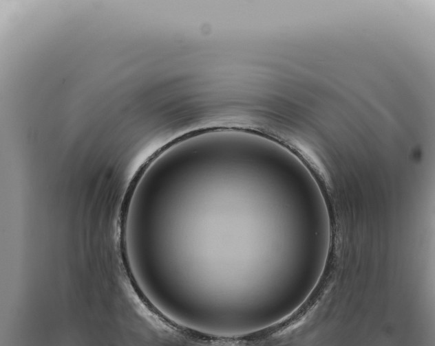 X0000090780944200707271546