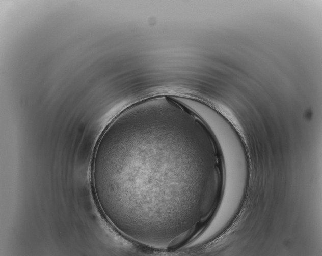 X0000090780946200707271546