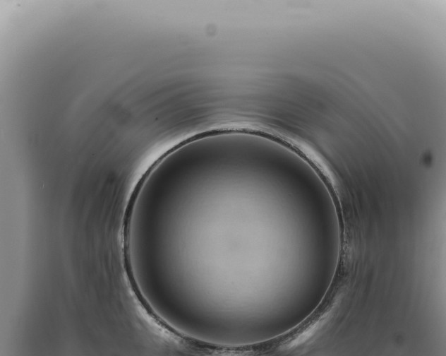 X0000090780951200707271546