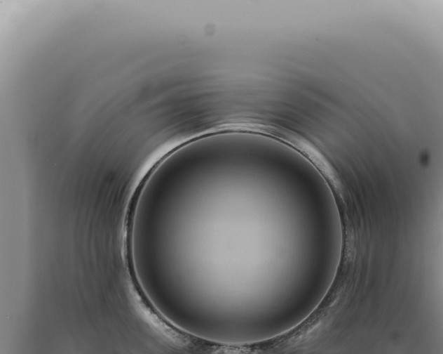 X0000090780955200707271546