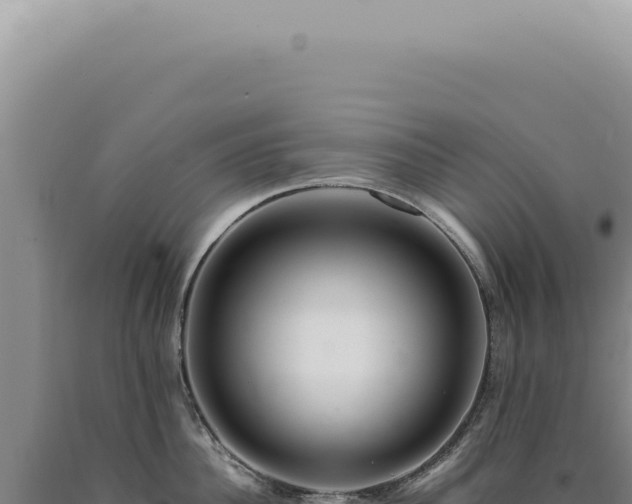 X0000090780956200707271546
