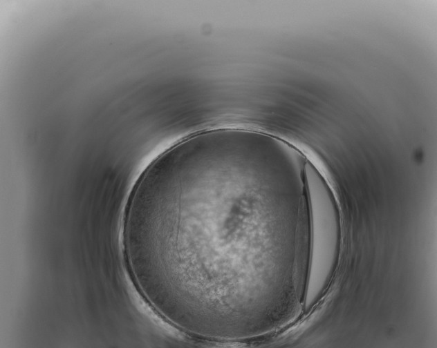 X0000090780957200707271546