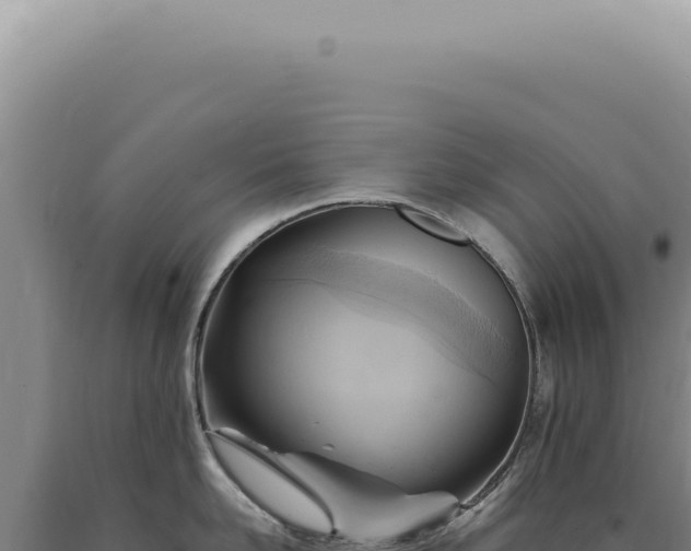 X0000090780958200707271546