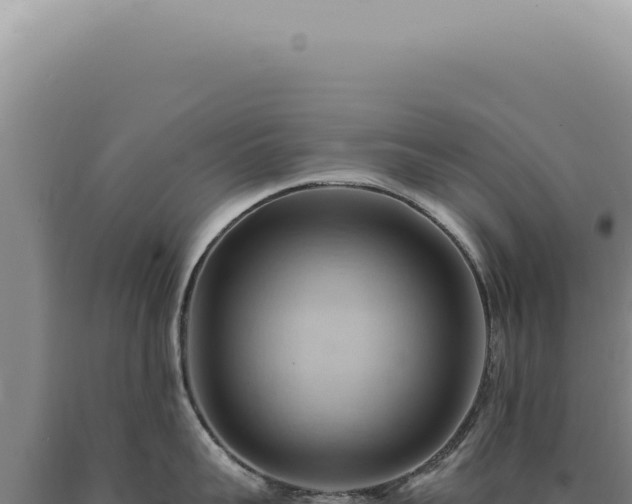 X0000090780959200707271546