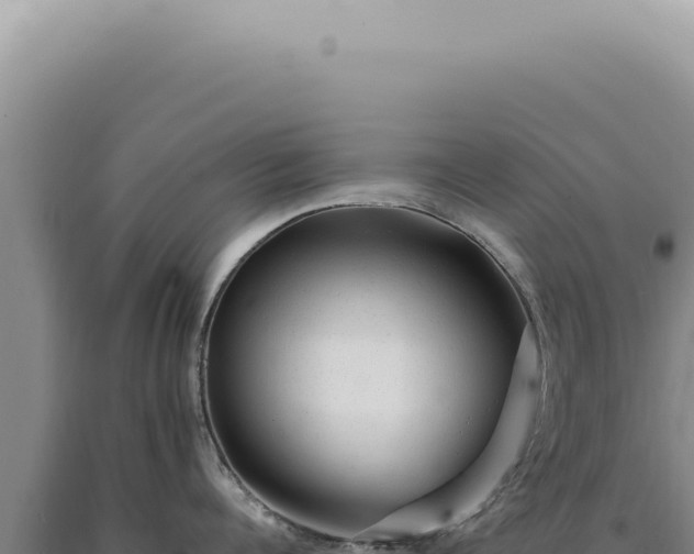 X0000090780960200707271546