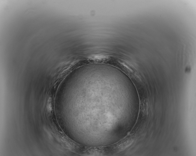 X0000090780962200707271546