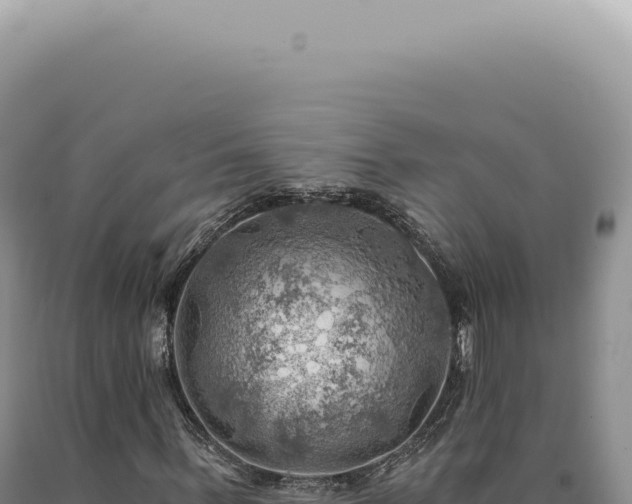 X0000090780963200707271546