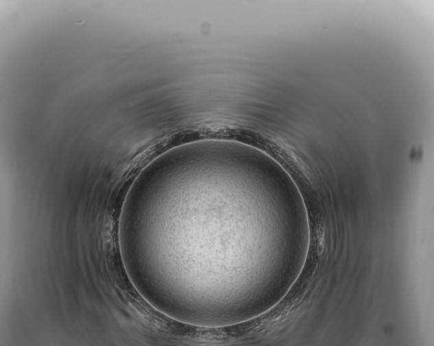 X0000090780964200707271546
