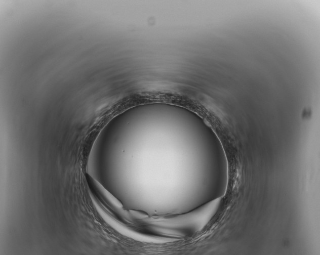X0000090780965200707271545