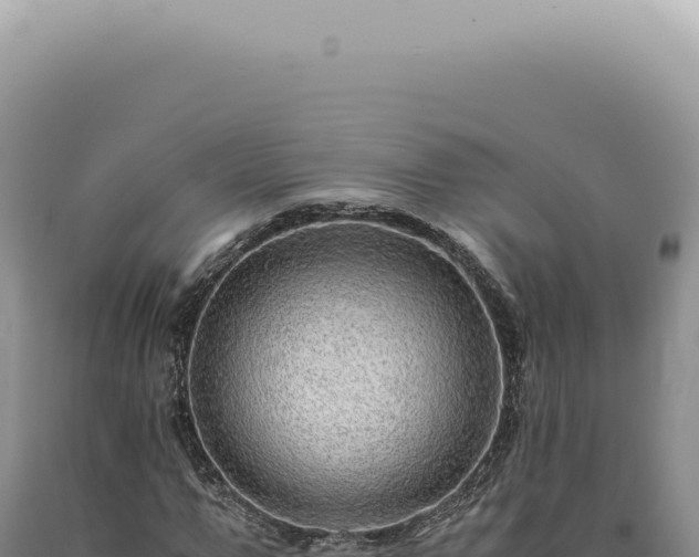 X0000090780967200707271545