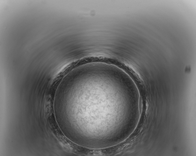 X0000090780968200707271545