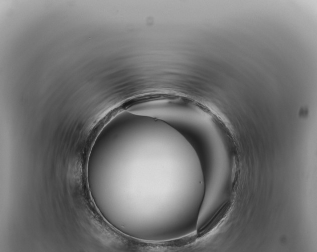 X0000090780969200707271545