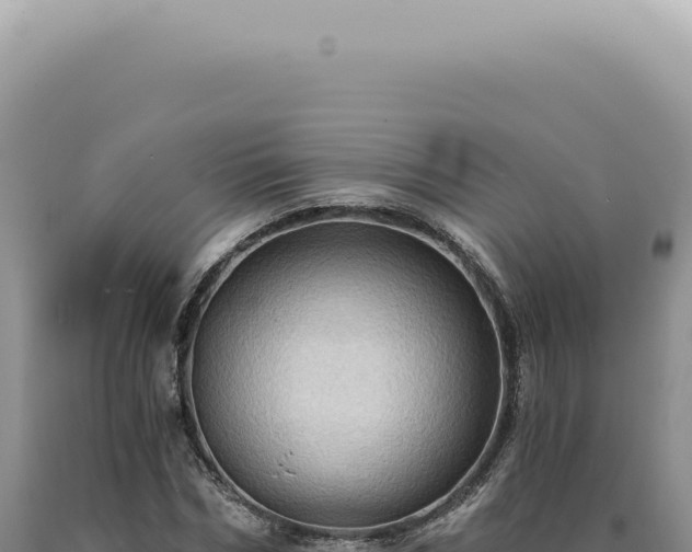 X0000090780970200707271545