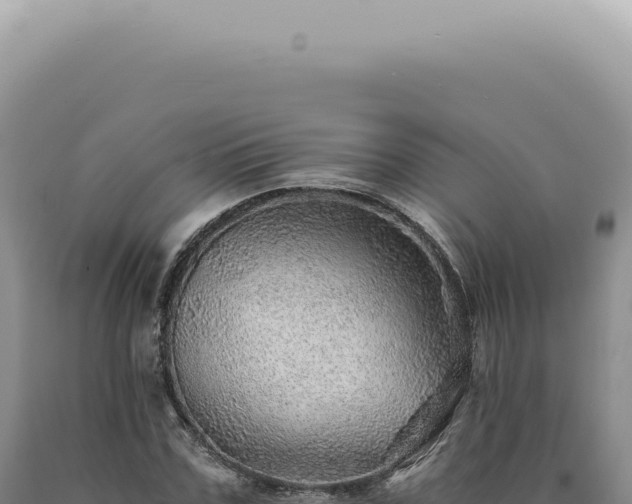 X0000090780971200707271545