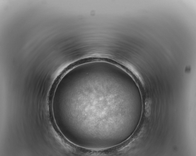 X0000090780972200707271545