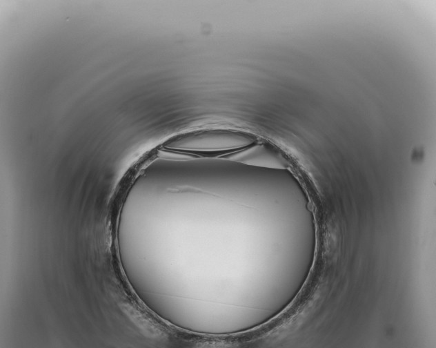 X0000090780973200707271545