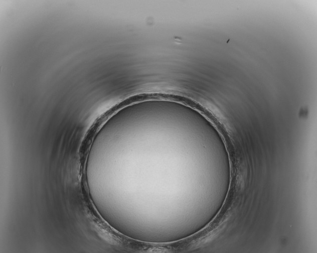 X0000090780974200707271545