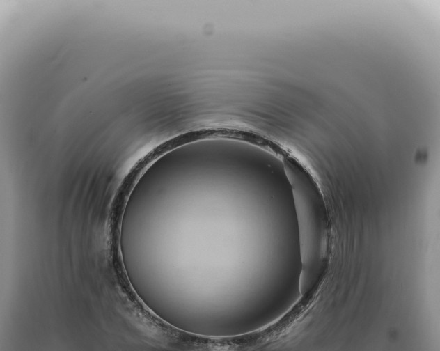 X0000090780975200707271545