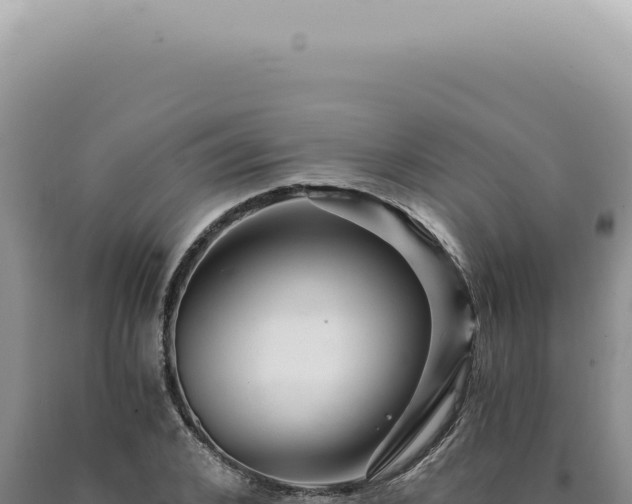 X0000090780976200707271545