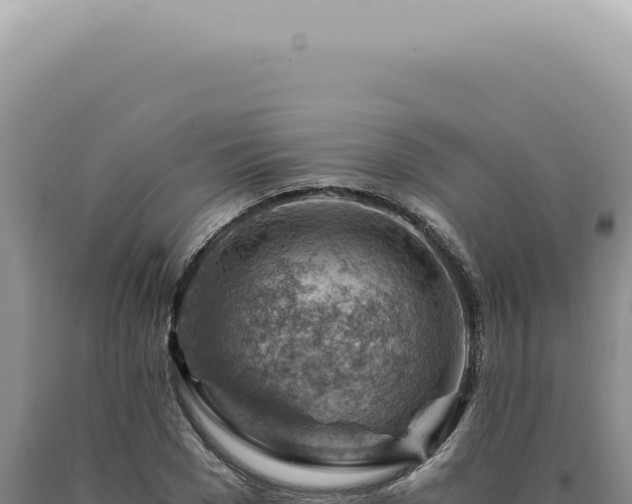 X0000090780977200707271545