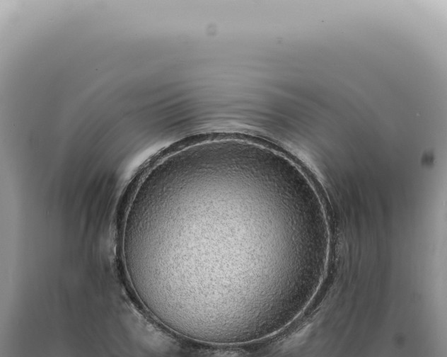 X0000090780979200707271545