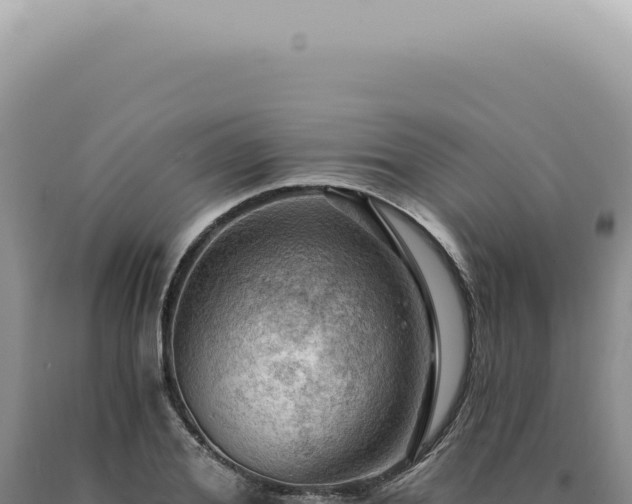 X0000090780980200707271545