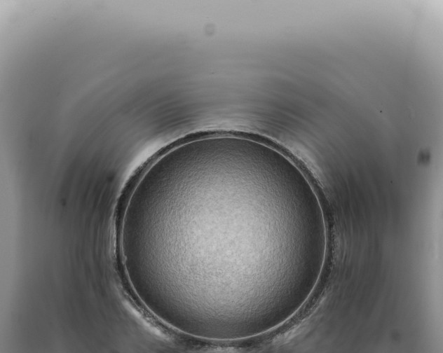X0000090780982200707271545