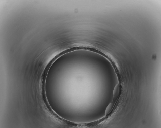 X0000090780983200707271545