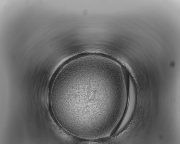 X0000090780984200707271545