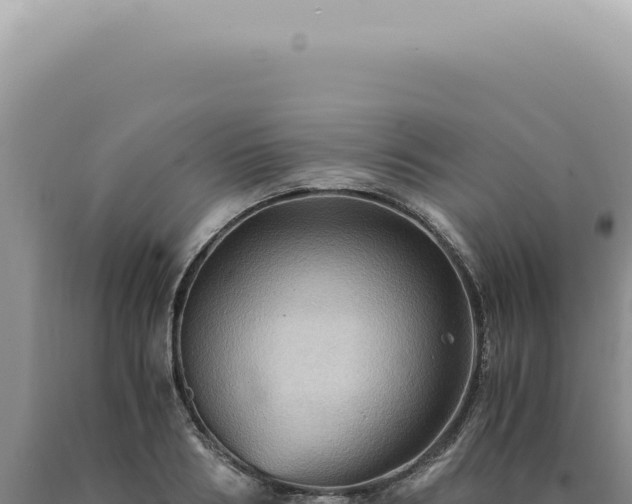 X0000090780986200707271545