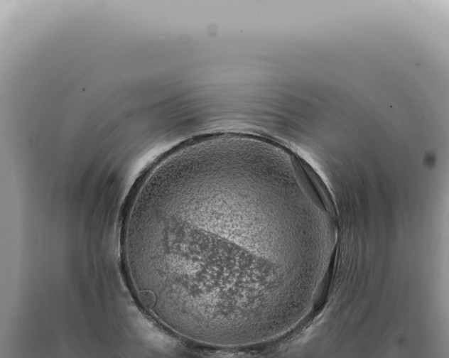 X0000090780987200707271545