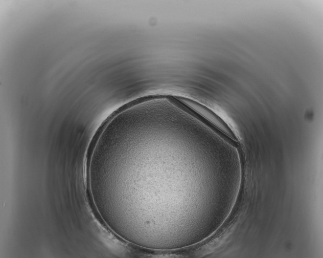 X0000090780988200707271545