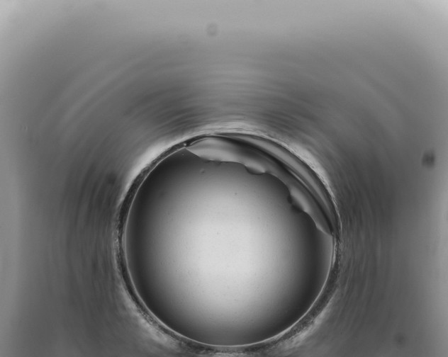 X0000090780989200707271545