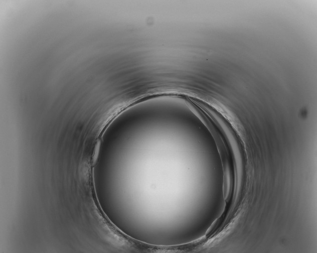 X0000090780993200707271545