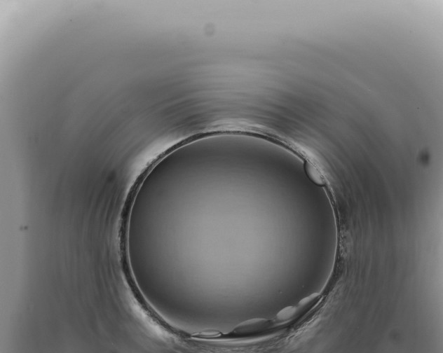 X0000090780995200707271545