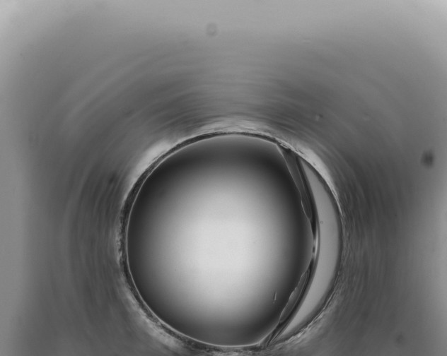 X0000090780997200707271545